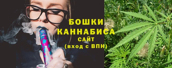 прущие грибы Новозыбков