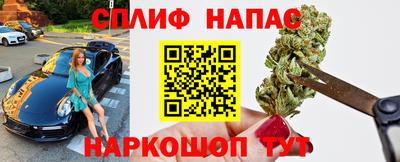 СК Гусев